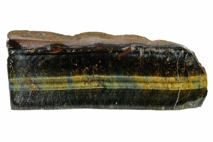Polished Tiger's Eye Section - South Africa #148277